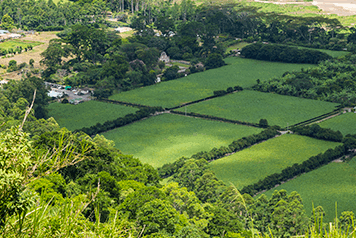 certificados viviendas y terrenos - estudio arquitectura técnica walter martin - arucas - las palmas